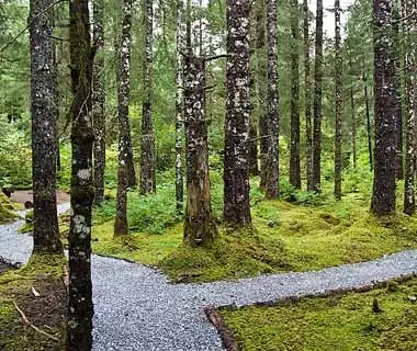 Bartlett Cove Campground in Glacier Bay National Park, Alaska