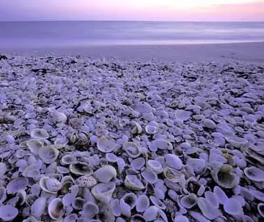 Sanibel Island, FL