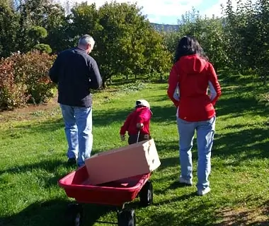 Kiyokawa Family Orchards, Parkdale, OR