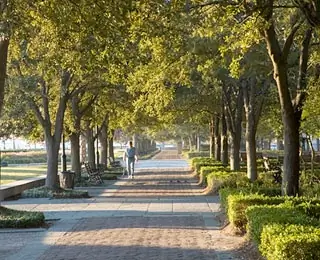 Waterfront Park, Charleston, SC