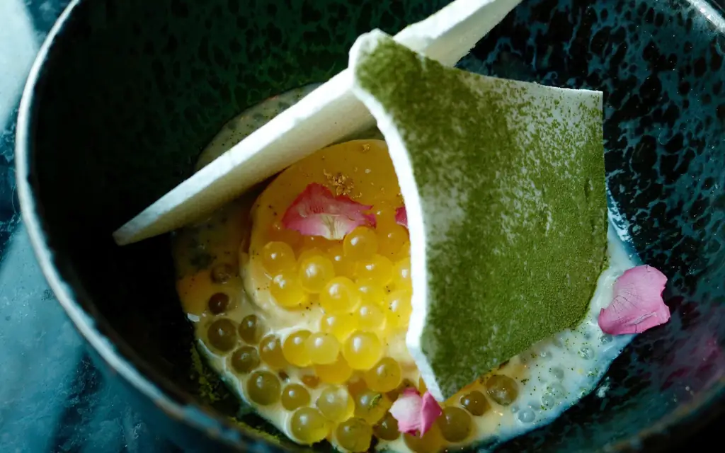 Китай-Poblano-LUNAR0218