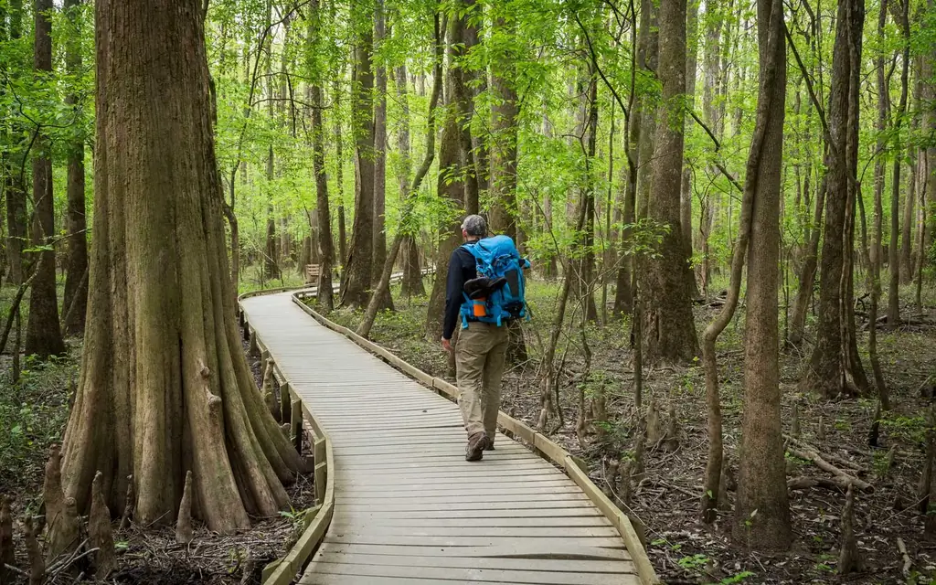 Congaree-национально-парк-LEASTPARK0319