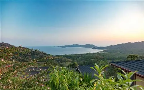 Лучшее время для посещения Коста-Рики с хорошей погодой, дикой природой и доступными ценами