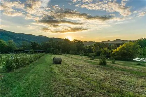 вид на поручни сена в большом поле с закатом над холмистой местностью