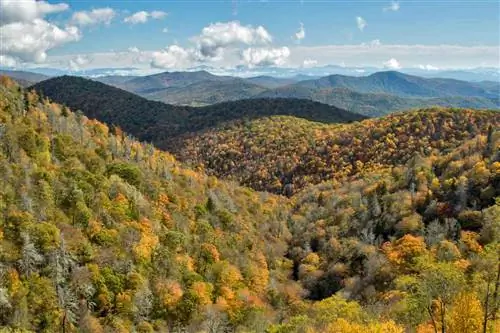 Вид на Грасси-Ридж, Национальный лес Фасга