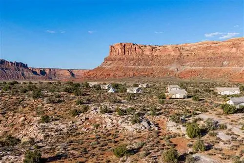 Десятки вне Моава