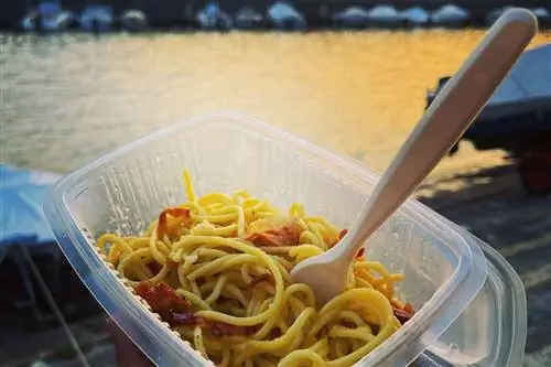 Контейнер с макаронами на вынос едят на берегу озера в Белладжио, Италия.