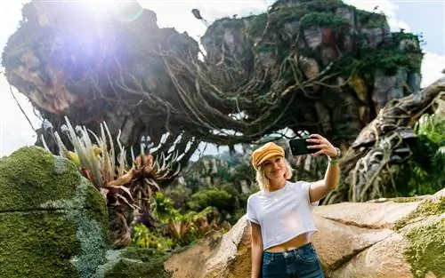 Каникулы Диснея