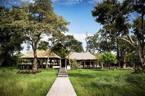 Экстерьер домика сафари с зеленой травой и голубым небом