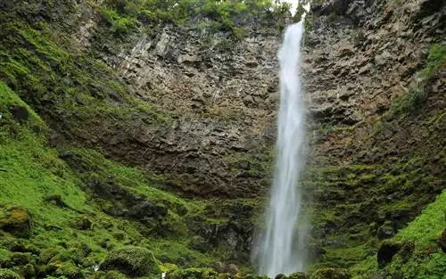 Уотсон-Фолс, Орегон