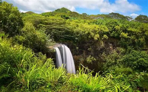 Водопад Вайлуа, Кауаи, Гавайи
