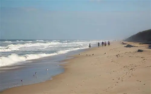 Плайалинда