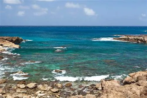 Скалистый берег Shark's Cove