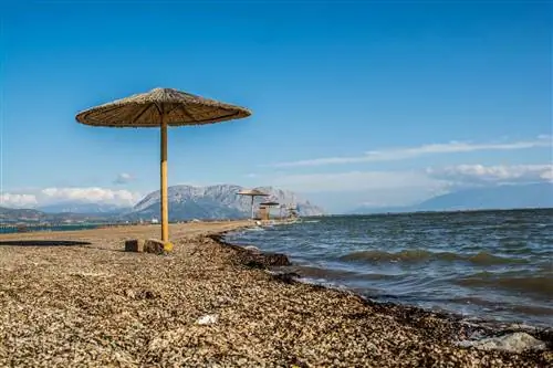 Полоса земли у моря с зонтиками