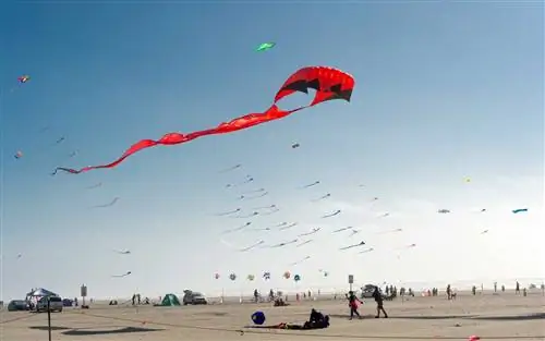 Лонг-Бич, Вашингтон