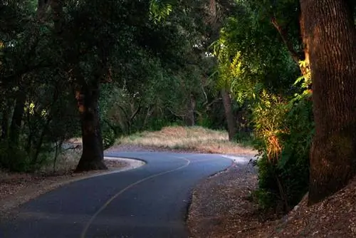Изогнутая асфальтированная лесная велосипедная дорожка, American River Parkway, Сакраменто, Калифорния