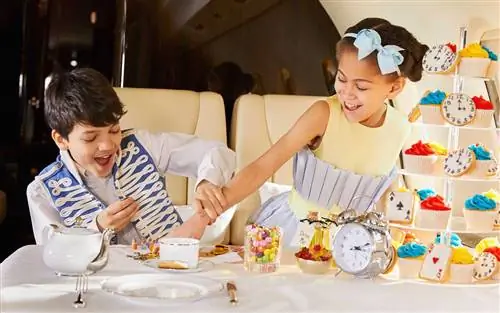 Дети пьют чаепитие на частном самолете