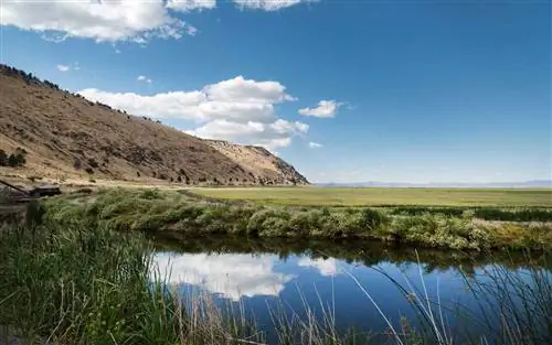 Убежище на озере Туле в Калифорнии