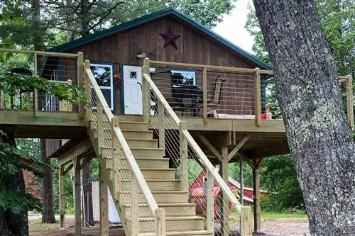 Лестница к домику на дереве Бакспорта