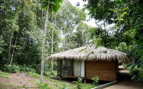 Хижина в Anavilhanas Jungle Lodge в Бразилии.