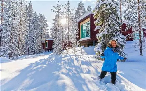 На территории отеля Arctic TreeHouse в Финляндии.
