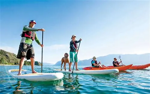 Катание на доске с веслом на озере Ванака, Новая Зеландия