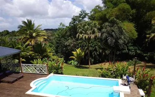 Гваделупе Airbnb