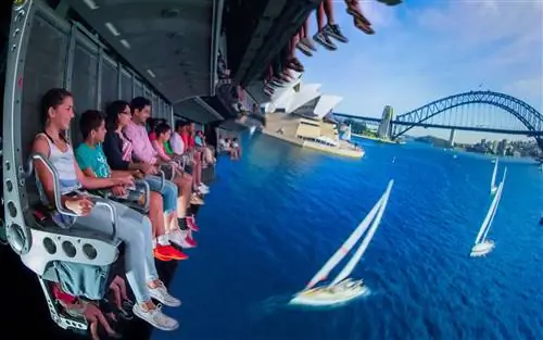 Соарин Диснейуорлд