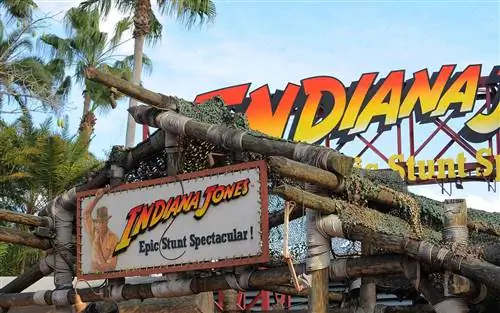 Приключения Индианы Джонса