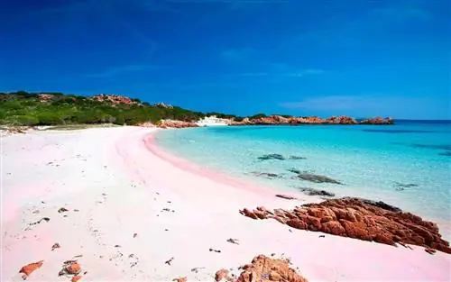 Spiaggia Rosa Isola Budelli Италия