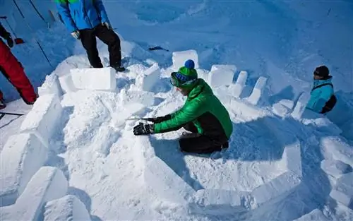 Иглу Дорф Отель Лав Нест