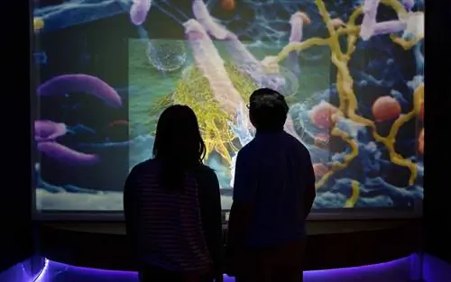 Музей науки в Бостоне