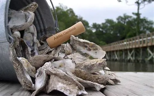 Арли Гарден Северная Каролина