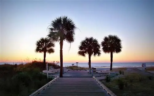 Восход солнца в Hilton Head Boardwalk, Южная Каролина Восход солнца в Hilton Head Boardwalk, Южная Каролина