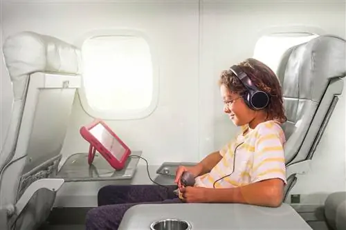 Ребенок на борту самолета JSX со своим iPad