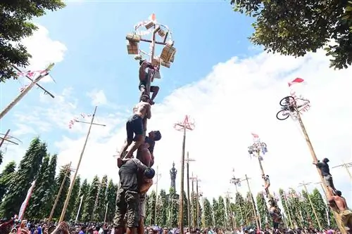 Индонезийцы празднуют свой 72-й день независимости, участвуя в соревнованиях по лазанию по смазанным маслом шестам, чтобы выиграть некоторые призы, включая мотоцикл, в парке Ренон, Бали, Индонезия.