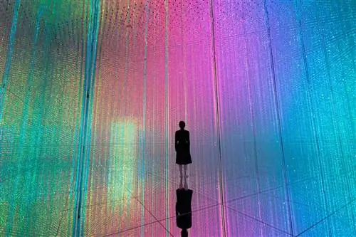 Как двухнедельная поездка в Токио изменила мое мнение об одиночном путешествии