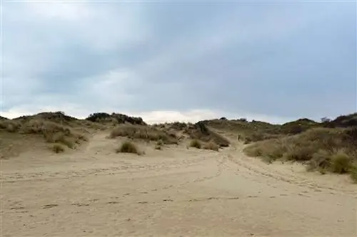 Пляжное побережье у прибрежного трамвая в Бельгии.