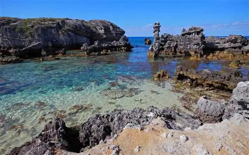 Табак-Бэй, Бермудские острова