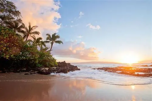 16 лучших тропических каникул в США