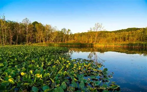 Бивер-Марш в национальном парке Кайахога-Вэлли, между Кливлендом и Акроном