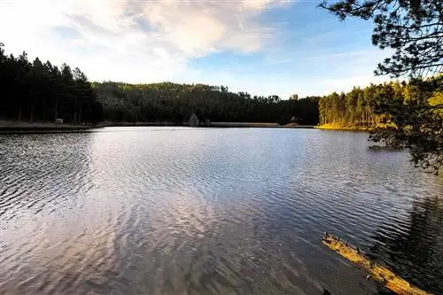 Озеро в кемпинге Center Lake, Государственный парк Кастер