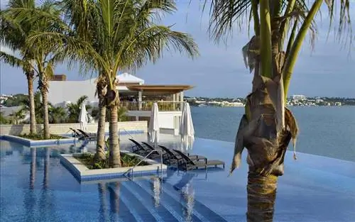 Гамильтон принцесса