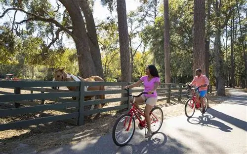 Велосипедная дорожка Хилтон-Хед-Айленд