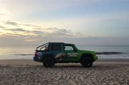 Патруль морских черепах Хилтон-Хед