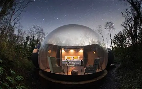 Пузырьковый дом в лесах Великобритании