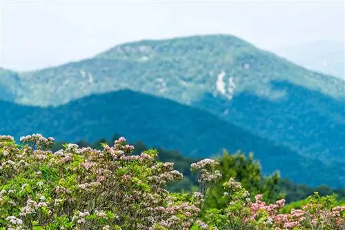 В этом национальном парке Восточного побережья находятся одни из лучших полей полевых цветов в США - 862 вида цветов и очень продолжительный сезон цветения