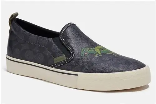 Кроссовки Skate Slip On из фирменной парусины с Rexy