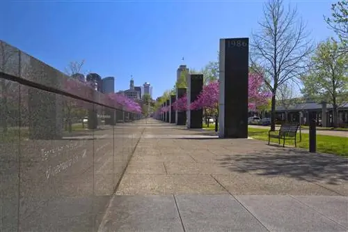 Путь истории в государственном парке Bicentennial Mall с цветущей вишней