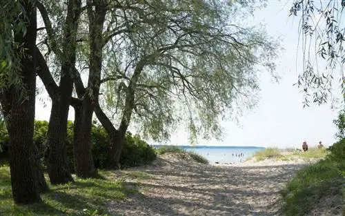 Пляж Строоми в Таллинне, Эстония